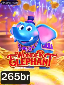WonderElephant: Descubra o Fascinante Mundo de 265br
